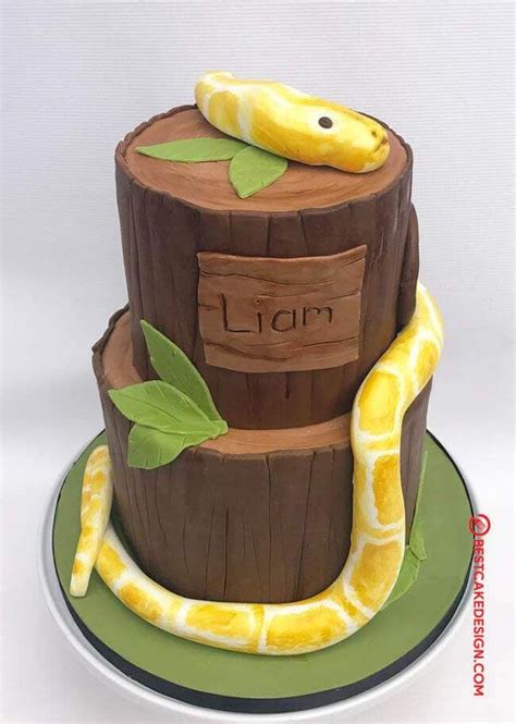 Check out our snake plant design selection for the very best in unique or custom, handmade pieces from our shops. 50 Snake Cake Design (Cake Idea) - October 2019 | Snake ...