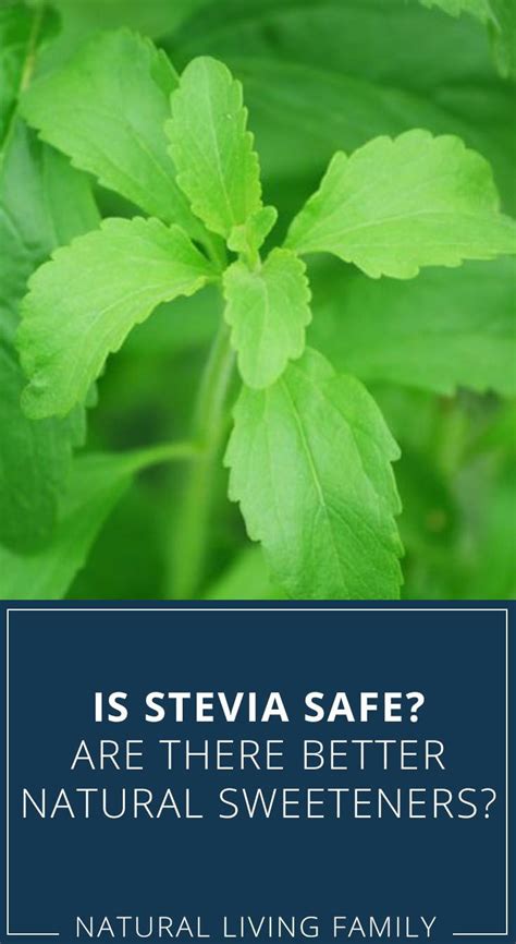Is Stevia Safe Are There Better Natural Sweeteners Natural
