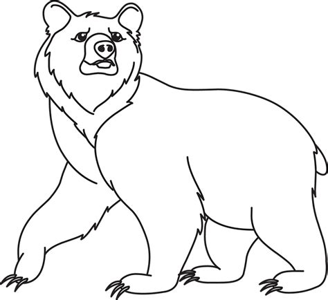 Bear Whites Clip Art Library