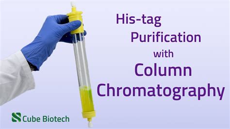 Column Chromatography Protein Purification