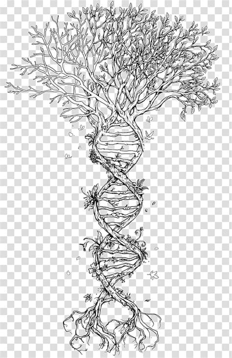 The easiest way to draw a family tree is start with a family tree template. DNA tree illustration, Family Tree DNA Tree of life ...