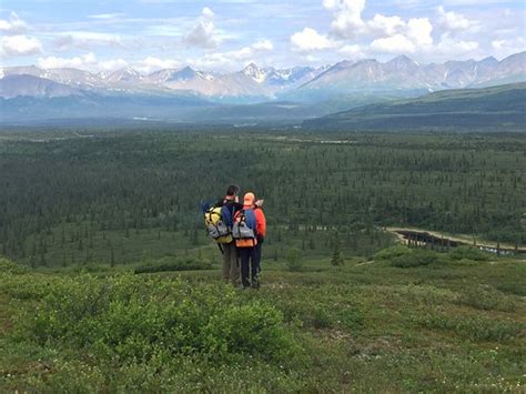 Denali Backcountry Guides Day Tours Denali National Park And Preserve