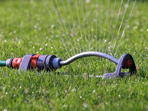 Choosing The Best Oscillating Sprinkler For Watering Your Lawn