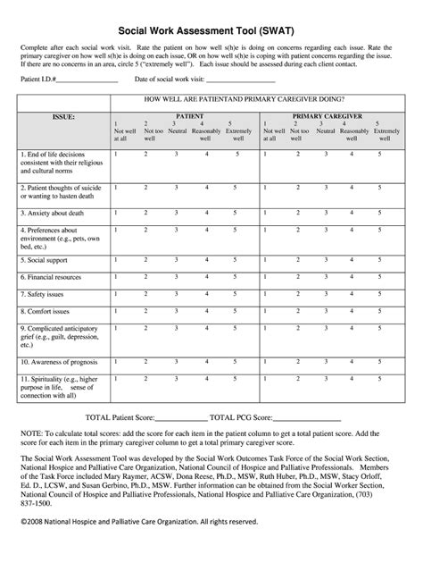 Hospice Social Work Assessment Template Fill Online Printable