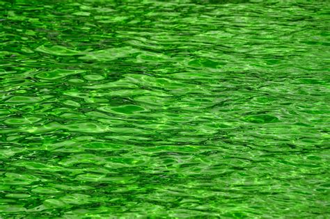 Green Water Ripples Background Texture Free Image From