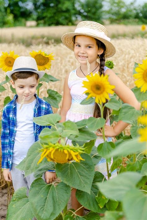 Little Girl With A Boy In Hats Stand In A Field Near The Sunflowers