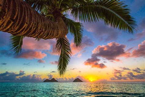 Lanikai Beach Sunrise Stock Photo Image Of Gorgeous 112930772