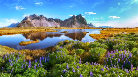 Wie Teuer Ist Ein Island Urlaub Unsere Preisübersicht