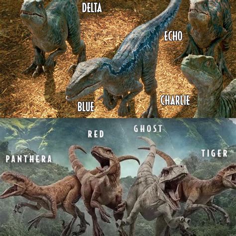 Jurassic Park Feathered Raptors Jurassic Park Know Yo