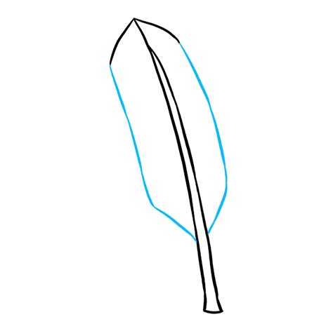 How To Draw A Feather Really Easy Drawing Tutorial