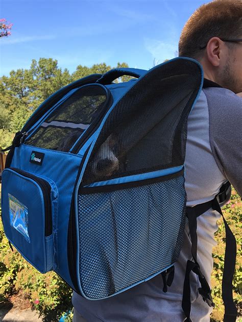 Best Dog Backpack For Miniature Dachshunds Detailed Review