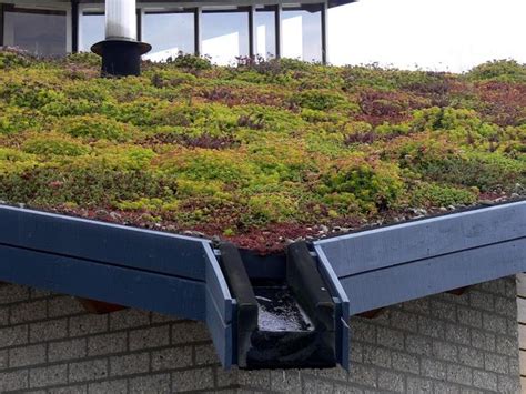 Odu Green Roof Ultralight Extensive Green Roof