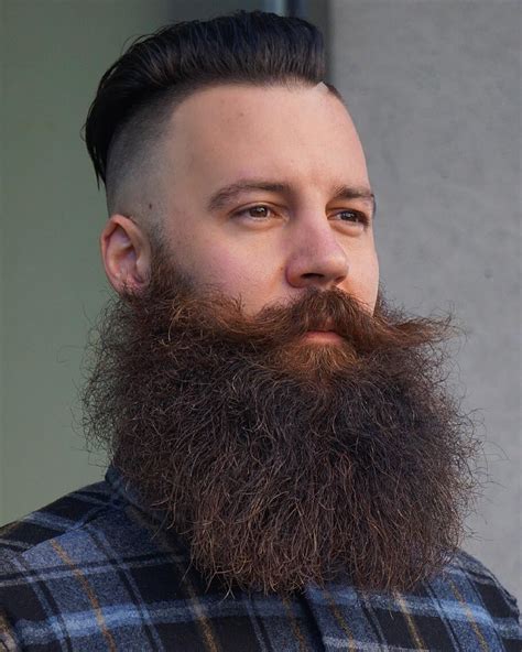 Nice 40 Attractive Long Beard Styles The Timeless Trend For Men Check