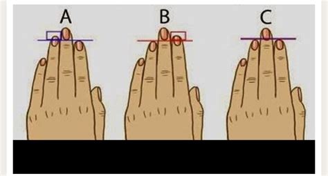 Your Finger Length Reveals Your Personality Musely