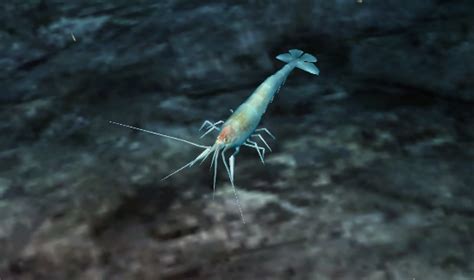 Deep Sea Blind Shrimp Endless Ocean Wiki Fandom