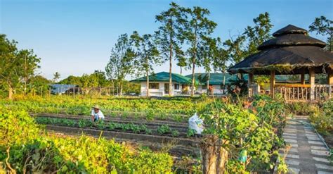 Things To Consider When You Transform Your Farm Into A Tourism Site Getawayph