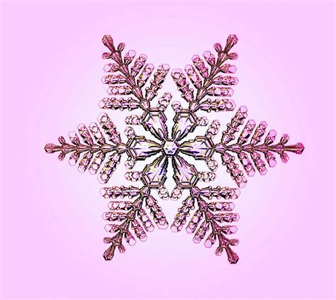 Pink Ice Snowflake Wallpaper Snowflake Photography Snowflakes