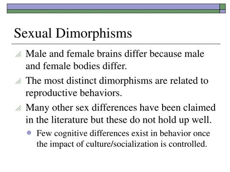 Ppt Sex And The Brain Powerpoint Presentation Free Download Id 9703081