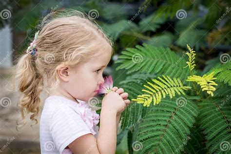 Cute Little Girl Smelling A Flower Stock Photo Image Of Funny Color