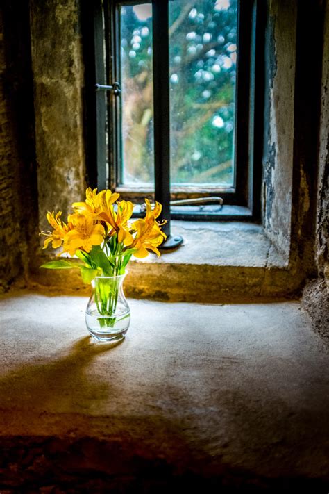 Flower Vase Window Royalty Free Photo