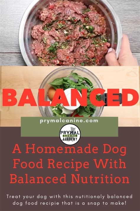 Recipe For A Homemade Dog Food With Balanced Nutrition Raw Dog Food
