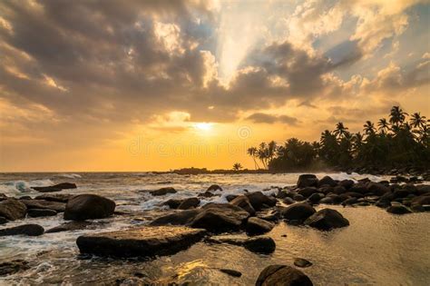 Romantic Sunset On A Tropical Beach With Palm Trees Stock Image Image