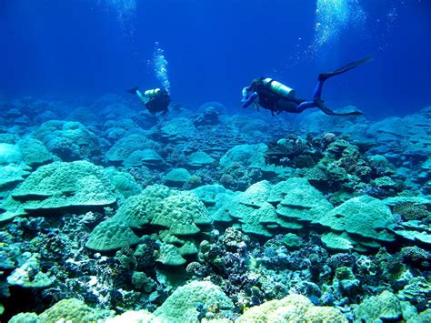Noaa Coral Reef Ecosystem Division Mission Blog From Jarvis Island