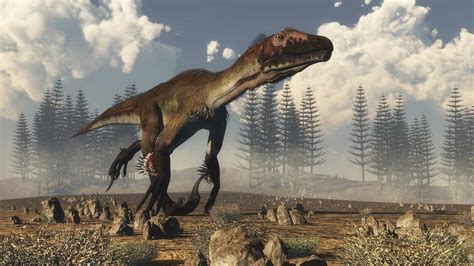 De Evolutie En Het Gedrag Van Roofvogeldinosaurussen