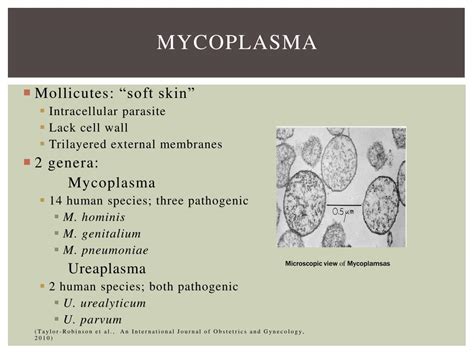 Ppt Association Between Mycoplasma Infection And Complications During