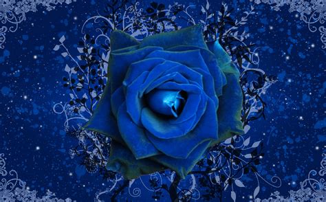 View Wallpaper Blue Rose Png