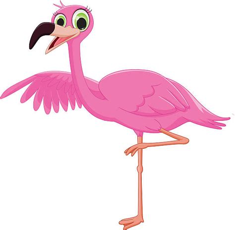 A Of A Flamingo Cartoons Illustrations Royalty Free Vector Graphics