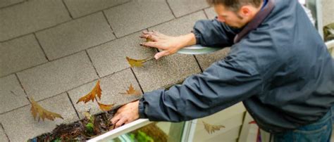 Check spelling or type a new query. How to Clean Gutters Without a Ladder | LeafFilter