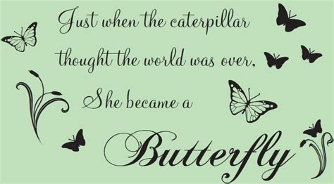 Check out our catapillar selection for the very best in unique or custom, handmade pieces from our stuffed animals & plushies shops. Butterfly Quotes Part 1 - We Need Fun