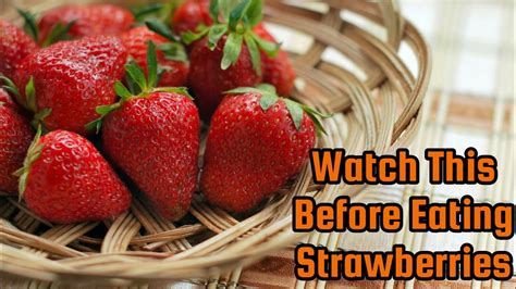 What Strawberries Do To Your Body Strawberries Effects Youtube