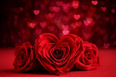 Hearts And Roses♥ 8k Ultra Hd Wallpaper Background Image 8688x5792