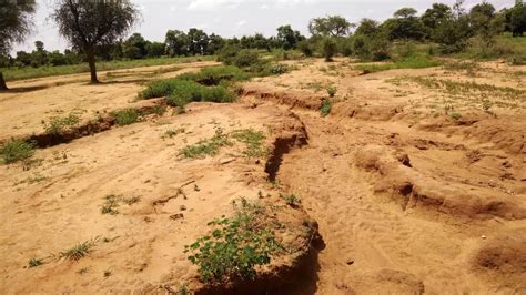 3 Places Where Restoring Degraded Land Can Reduce Erosion - Resource ...
