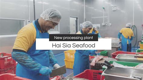 Hai Sias New Seafood Processing Plant Youtube
