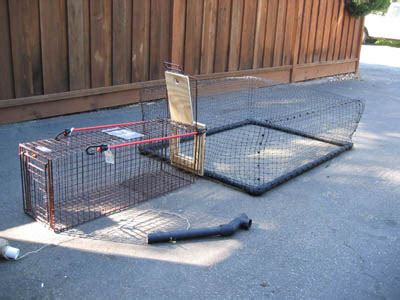 Feral cat drop traps allow you to catch a feral cat without having to force it into a confined space, very useful for trap shy feral cats. Peninsula CatWorks - Drop Trap