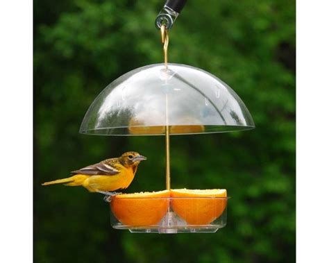 Reviews For Droll Yankees® Seed Saver® Platform Bird Feeder With