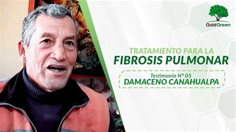 Fibrosis Pulmonar Tratamiento Gold Green Tratamientos
