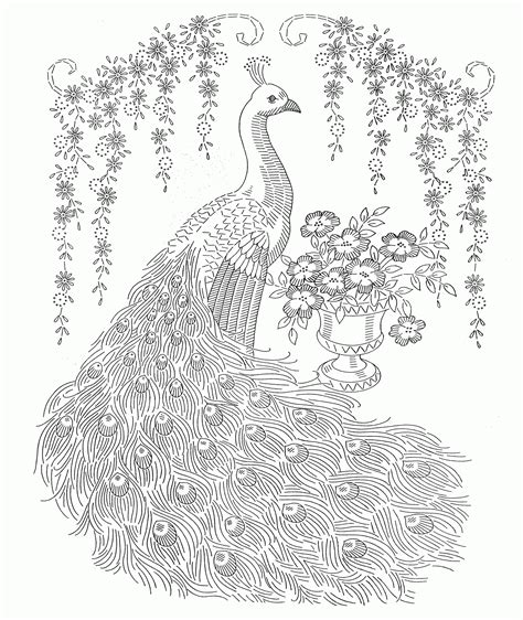 Peacock coloring books for adults: Adult Coloring Pages Peacock - Coloring Home