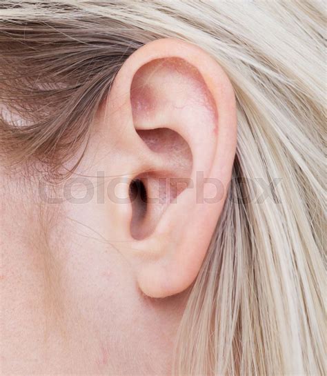 Woman Ear Stock Image Colourbox