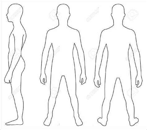 Learn the most common anatomical positions with this illustrated guide. Human Body Outlines - Word Excel Samples