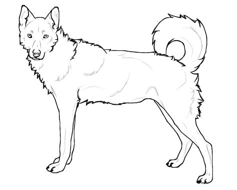 Pick one of our fun pages to print and color! realistic dog face coloring page coloring pages. fluffy ...
