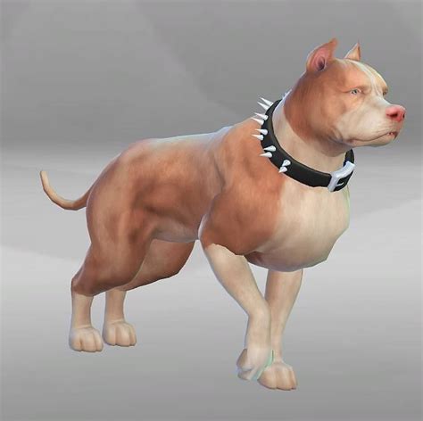 Thor Pitt Bull For The Sims 4 By Simsworkshop Spring4sims Sims Pets