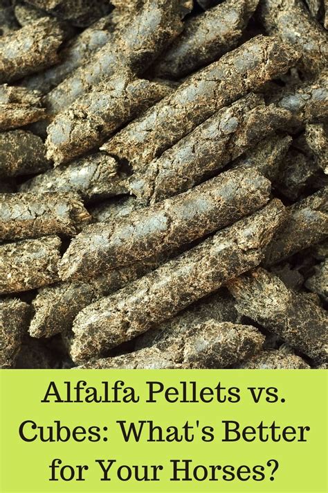 Alfalfa Pellets Cubes And Hay Provide The Same Essential Nutrients