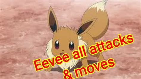 Eevee All Attacks And Moves Pokemon Youtube