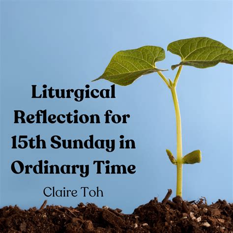 Liturgical Reflection For Th Sunday In Ordinary Time Church Of