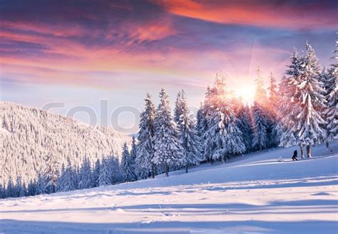 Beautiful Winter Morning With Snow Stock Image