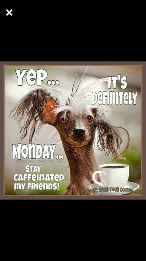 Jun 09, 2020 · these 19 hilarious harry potter quotes show j.k. Monday Coffee | Need Coffee Pics/Quotes/Signs in 2019 ...